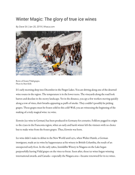 Winter Magic: the Glory of True Ice Wines