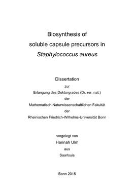 Staphylococcus Aureus