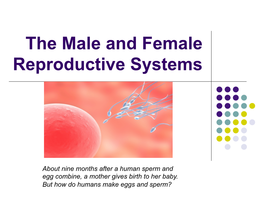 Female Reproductive Systems