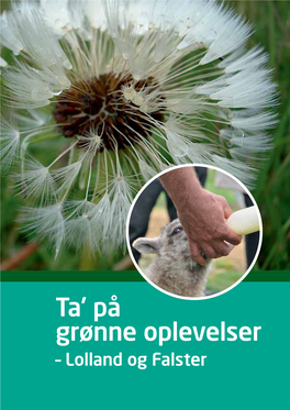 Ta' På Grønne Oplevelser