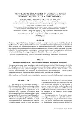 VENTILATORY STRUCTURES in Cryphocricos Barozzii SIGNORET (HETEROPTERA, NAUCOROIDEA)