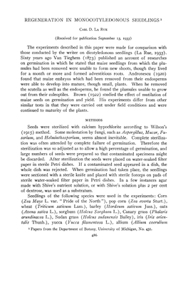 Regeneration in Monocotyledonous Seedlings 1