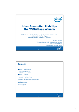 Next Generation Mobility: the Wimax Opportunity