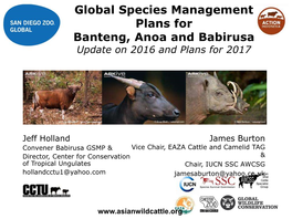 Global Species Management Plans for Banteng, Anoa and Babirusa Update on 2016 and Plans for 2017