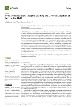 Root Tropisms: New Insights Leading the Growth Direction of the Hidden Half