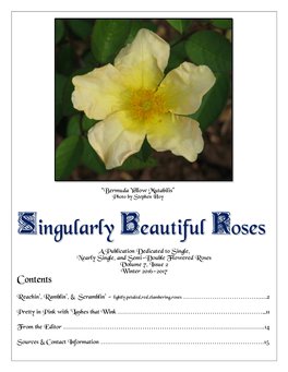 Singularly Beautiful Roses