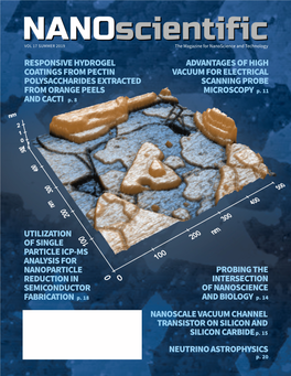 Nanoscientific Magazine 2019 Summer