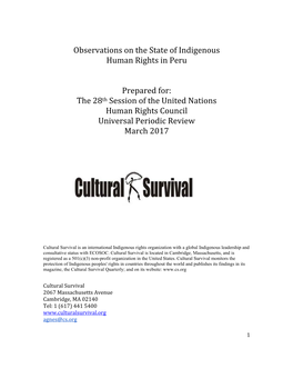 Observations on the State of Indigenous Human Rights in Peru