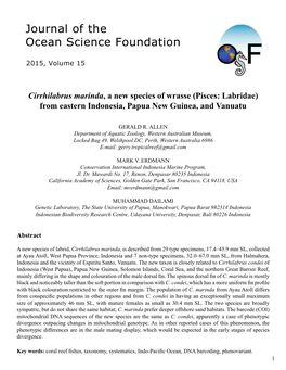 Cirrhilabrus Marinda, a New Species of Wrasse (Pisces: Labridae) from Eastern Indonesia, Papua New Guinea, and Vanuatu