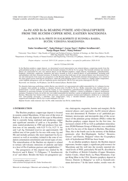 Au-Pd and Bi-Se BEARING PYRITE and CHALCOPYRITE from the BUCHIM COPPER MINE