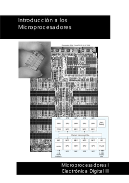 Microprocesadores Y