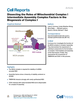 Dissecting the Roles of Mitochondrial Complex I Intermediate Assembly Complex Factors in the Biogenesis of Complex I