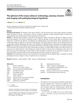 The Splenium of the Corpus Callosum: Embryology, Anatomy, Function and Imaging with Pathophysiological Hypothesis