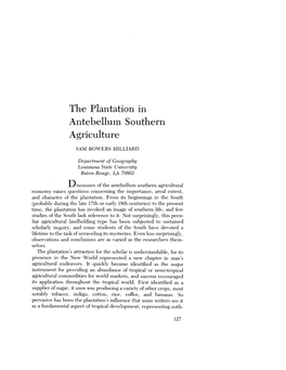 The Plantation in Antebellum Southern Agriculture