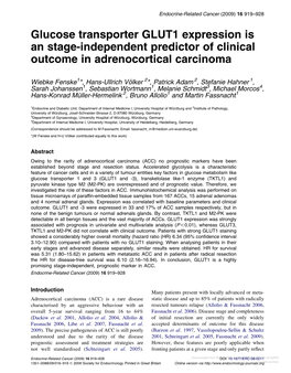 Glucose Transporter GLUT1 Expression Is an Stage-Independent Predictor of Clinical Outcome in Adrenocortical Carcinoma