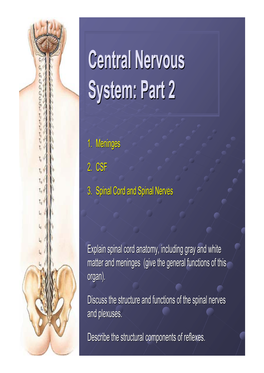 Central Nervous System