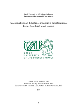 Reconstructing Past Disturbance Dynamics in Mountain Spruce Forests from Fossil Insect Remains