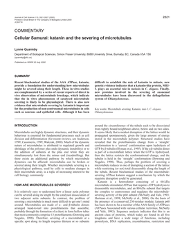 Katanin and the Severing of Microtubules