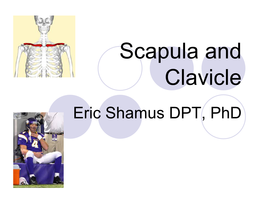 Scapula and Clavicle Eric Shamus DPT, Phd OBJECTIVES