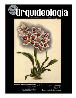 Odontoglossum HBK Houlletia