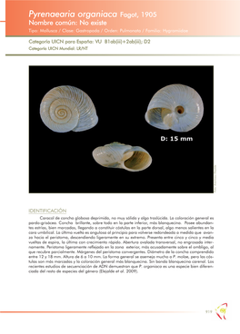Pyrenaearia Organiaca Fagot, 1905 Nombre Común: No Existe Tipo: Mollusca / Clase: Gastropoda / Orden: Pulmonata / Familia: Hygromiidae