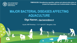 MAJOR BACTERIAL DISEASES AFFECTING AQUACULTURE Olga Haenen, Olga.Haenen@Wur.Nl