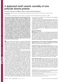 A Duplicated Motif Controls Assembly of Zona Pellucida Domain Proteins