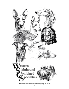 WESTERN SIGHTHOUND COMBINED SPECIALTIES in Conjunction with the IRISH WOLFHOUND and SALUKI SPECIALTIES