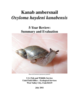 Kanab Ambersnail Oxyloma Haydeni Kanabensis