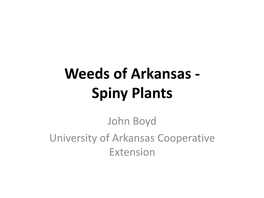 Weeds of Arkansas - Spiny Plants