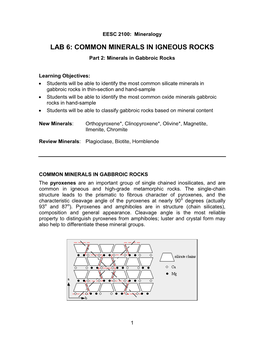 LAB 6: COMMON MINERALS in IGNEOUS ROCKS Part 2: Minerals in Gabbroic Rocks