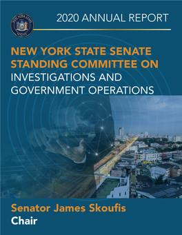 2020 Investigations and Government Operations Committee Annual Report