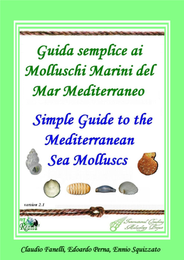 Guida Semplice Ai Molluschi Marini Del Mare Mediterraneo