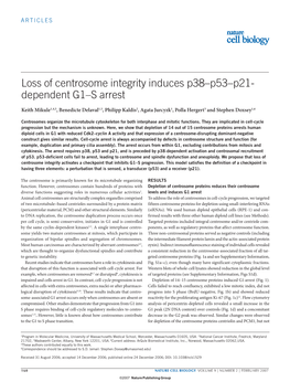 Loss of Centrosome Integrity Induces P38/P53