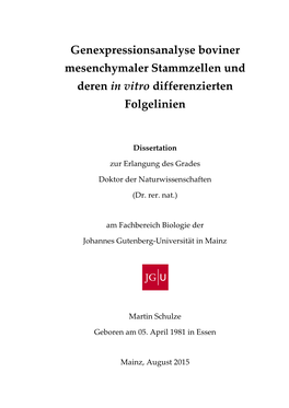 Genexpressionsanalyse Boviner Mesenchymaler Stammzellen Und Deren in Vitro Differenzierten Folgelinien