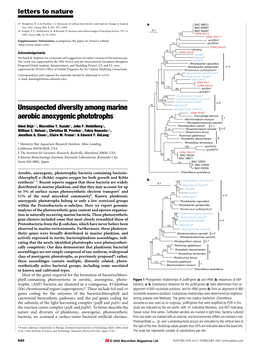 Unsuspected Diversity Among Marine Aerobic Anoxygenic Phototrophs