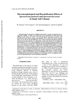 Micromorphological and Biocalcification Effects of Sporosarcina Pasteurii and Sporosarcina Ureae in Sandy Soil Columns