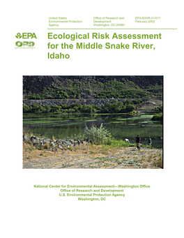 Ecological Risk Assessment for the Middle Snake River, Idaho