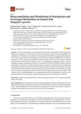 Bioaccumulation and Distribution of Indospicine and Its Foregut Metabolites in Camels Fed Indigofera Spicata