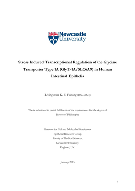 Stress Induced Transcriptional Regulation of the Glycine Transporter Type 1A (Glyt-1A/SLC6A9) in Human Intestinal Epithelia