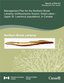 Management Plan for the Northern Brook Lamprey (Ichthyomyzon Fossor), Great Lakes – Upper St