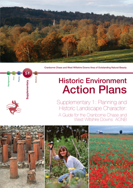 Planning and Historic Landscape Character: a Guide for the Cranborne Chase and West Wiltshire Downs AONB