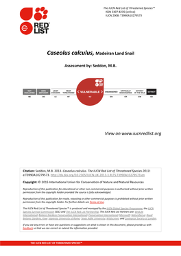 Caseolus Calculus, Madeiran Land Snail