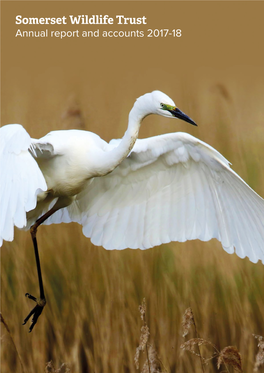 Annual Report and Accounts 2017-18 Great White Egret © Graham Hall
