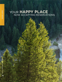 Your Happy Place
