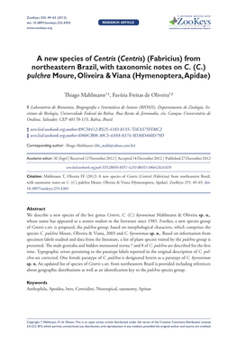 A New Species of Centris (Centris)(Fabricius) from Northeastern Brazil, with Taxonomic Notes on C.(C.) Pulchra Moure, Oliveira & Viana (Hymenoptera, Apidae)