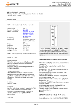 USP10 Antibody (Center) Affinity Purified Rabbit Polyclonal Antibody (Pab) Catalog # Ap17199c