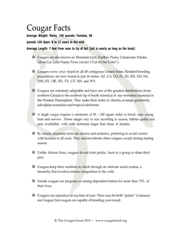 Cougar Facts & Safety Tips