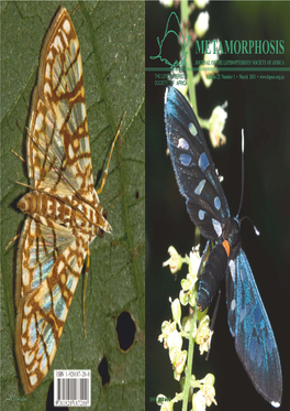 Metamorphosis Journal of the Lepidopterists' Society of Africa