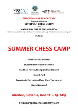 Summer Chess Camp 2019